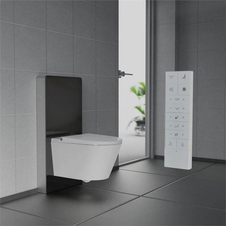 concealed toilet and cistern
