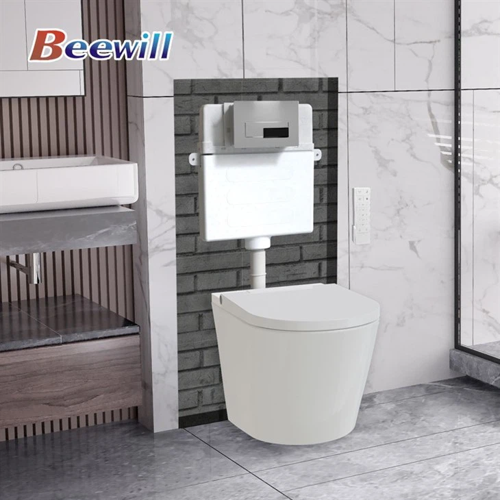 toilet with concealed cistern